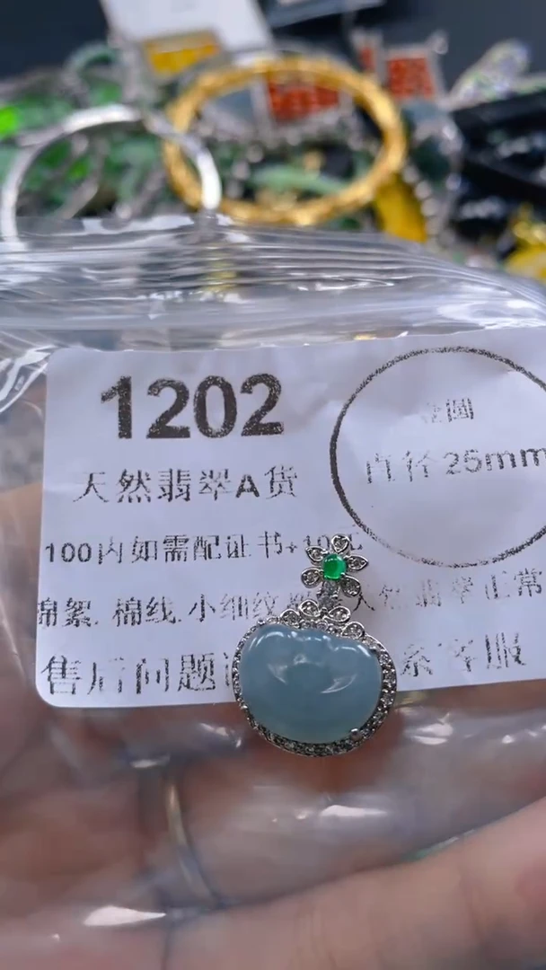 翡翠未镶嵌吊坠(不含链)1202.