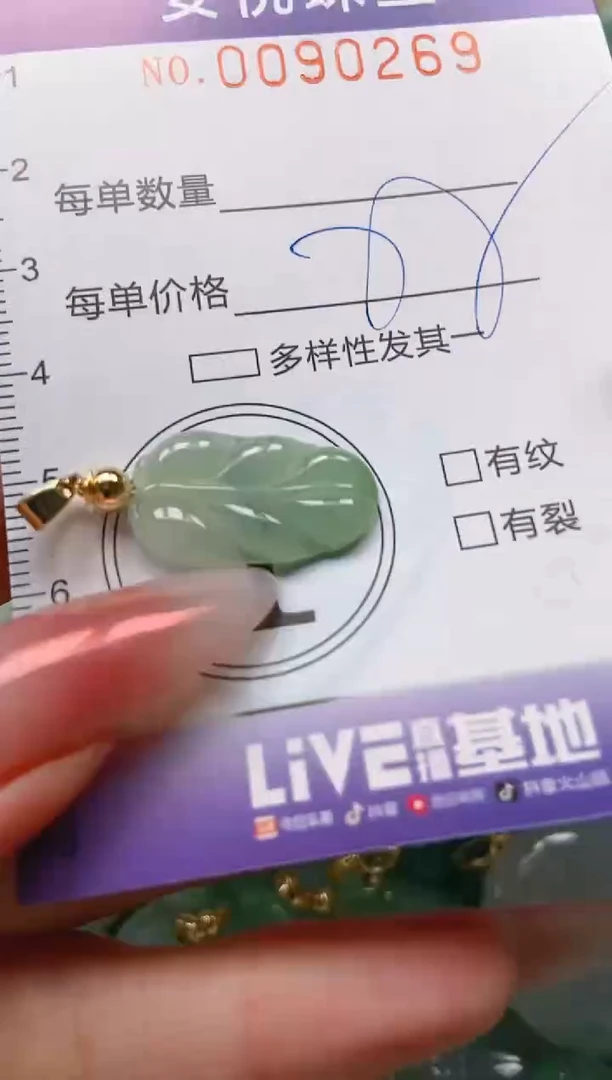 【闪购商品】翡翠颈饰未镶嵌闪购0090269