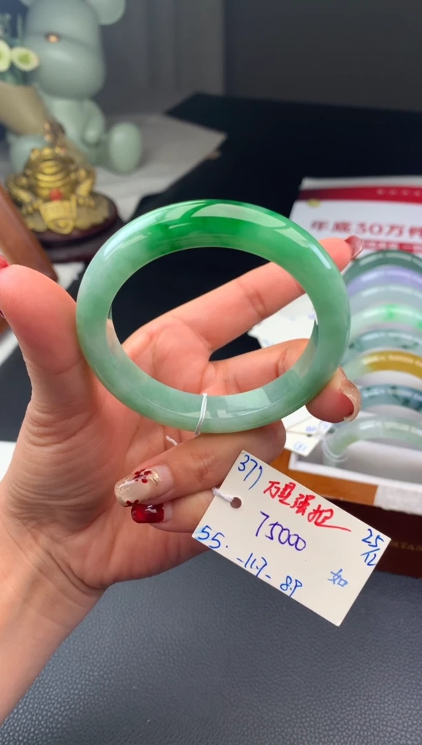 未镶嵌手镯翡翠假一赔三   手镯