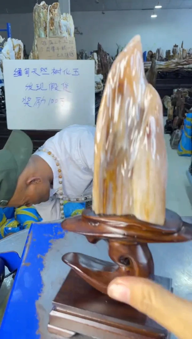 未镶嵌摆件硅化玉37