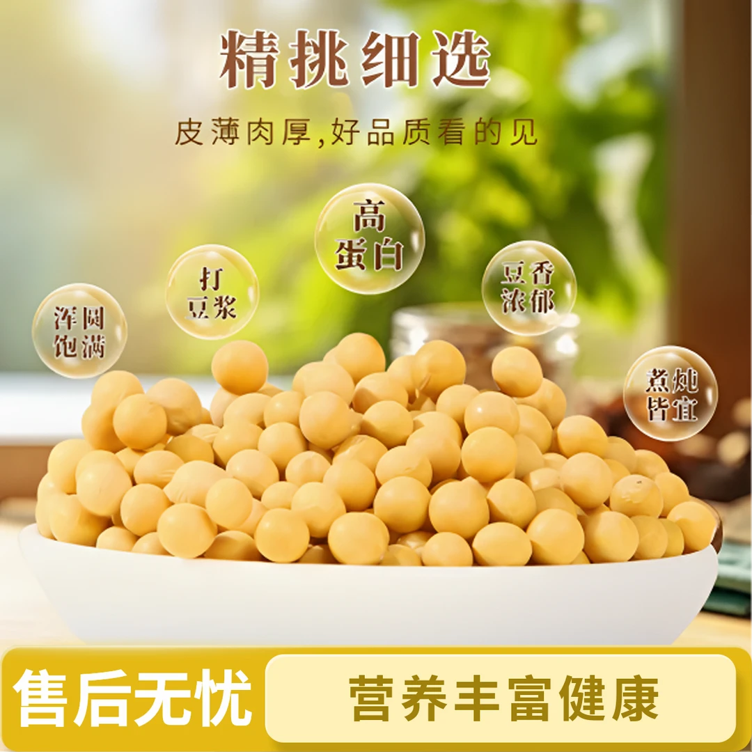 当季新品农家老品种黄豆打豆浆颗粒饱满圆润