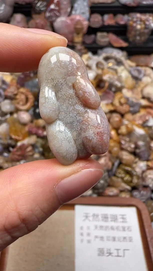 【闪购商品】硅化珊瑚（珊瑚玉）颈饰未镶嵌659