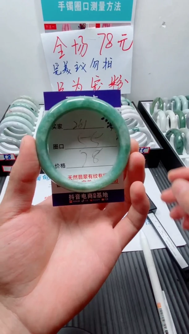 未镶嵌手镯翡翠261