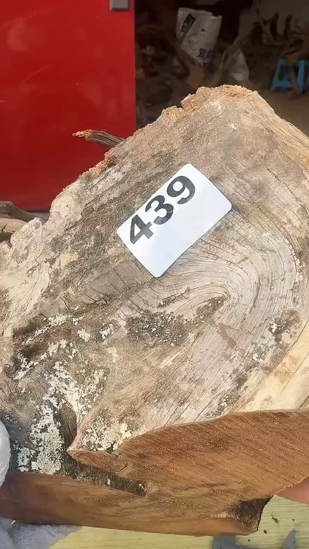 柏木（崖柏）太行陈化崖柏切片！随机一片！（1单1片）439