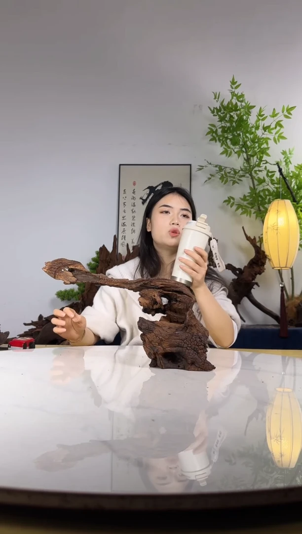 ?**草拍沉木定向链接编号23