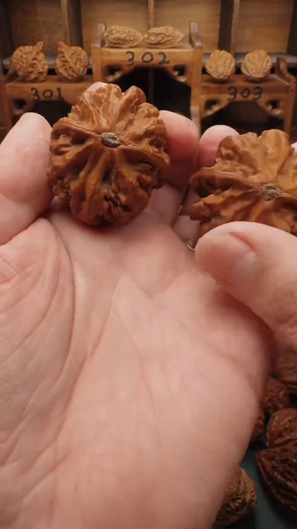 【闪购商品】文玩核桃吊坠XHM楸子