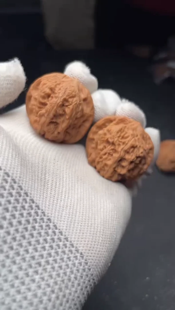 核桃a284  龙洞玉 36尺