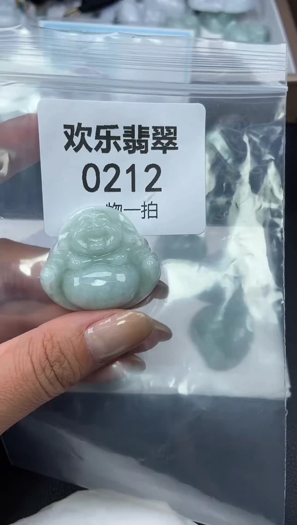 颈饰未镶嵌翡翠缅甸天然翡翠0212