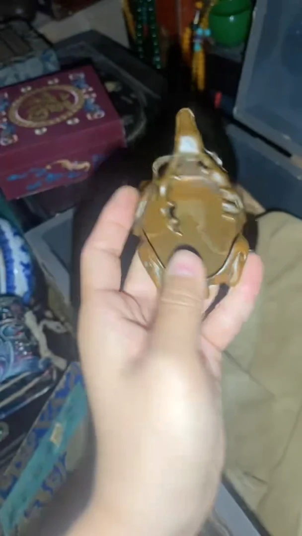 香榧木一一一一一福利