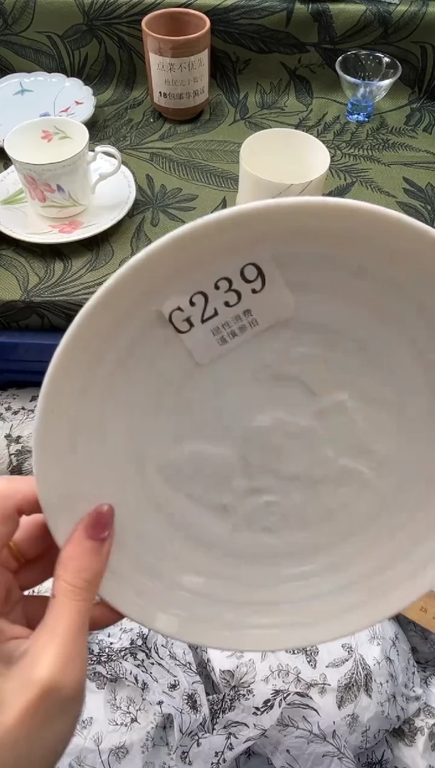 瓷片可****袋       G239