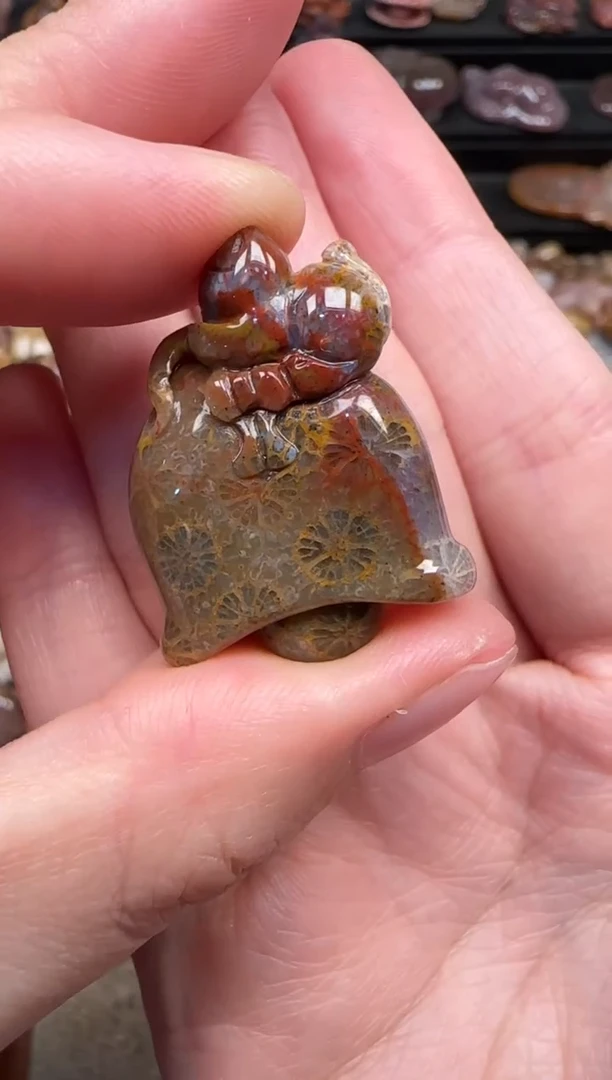 颈饰未镶嵌硅化珊瑚（珊瑚玉）861