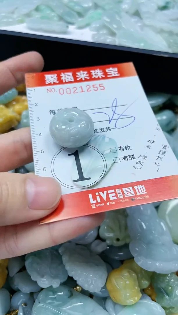 【闪购商品】翡翠颈饰未镶嵌闪购0021255