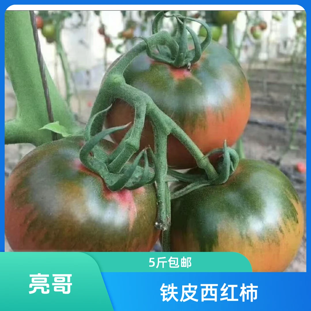 《亮哥农场》铁皮西红柿 3斤顺丰包邮
