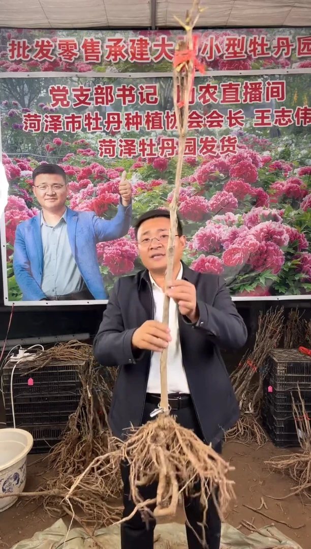 闪购链接  黑夫人24