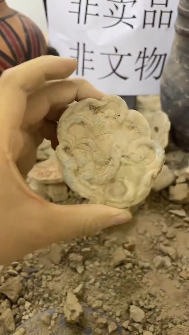 硅化玉珠宝奇石未镶嵌3