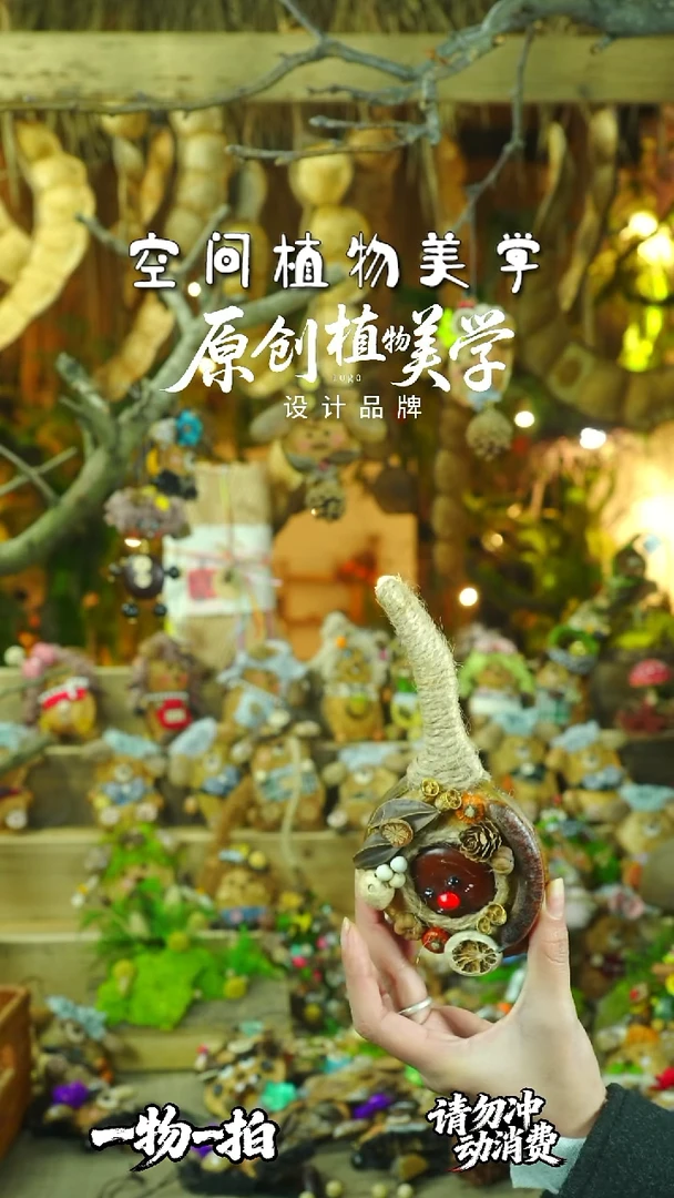 香榧木豆荚娃娃一物一拍