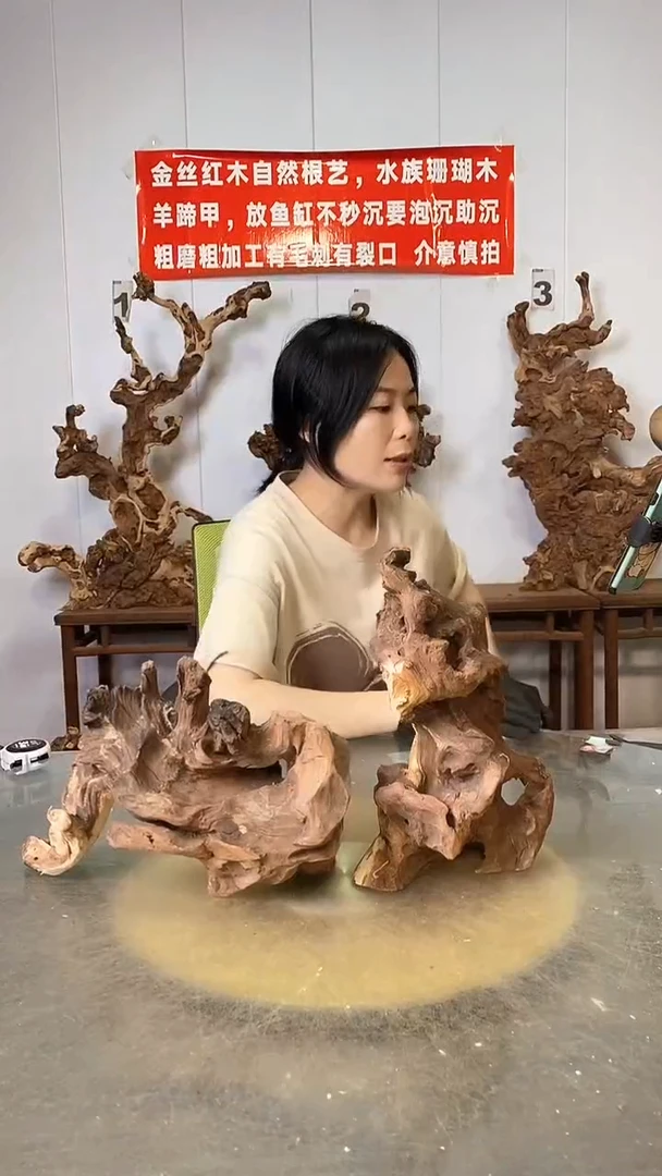 香榧木西**田金丝红木   羊蹄甲