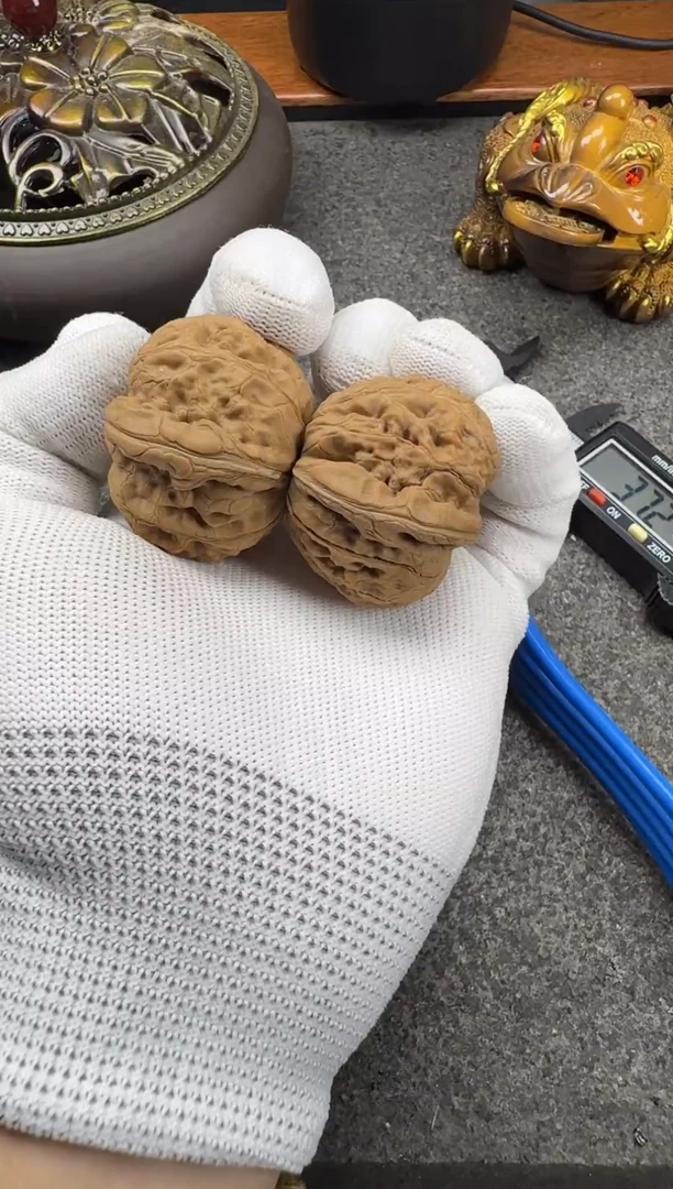 麻核桃文玩平谷元宝