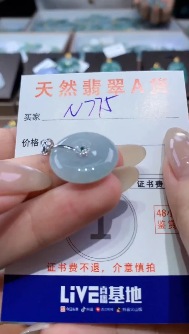 颈饰未镶嵌翡翠天然缅甸翡翠A货挂件
