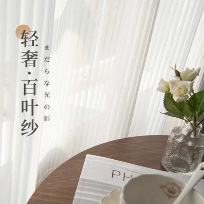 新款雪纺竖百叶窗纱条纹白纱窗帘纱客厅阳台简约家装卧室