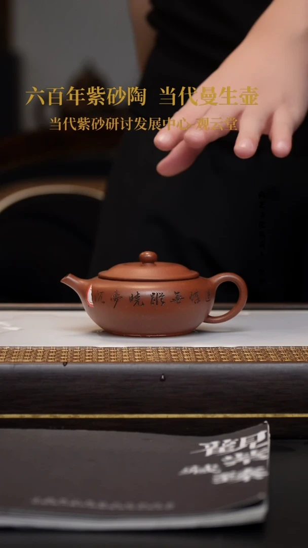 茶壶紫砂宜兴紫砂壶底槽青若愚