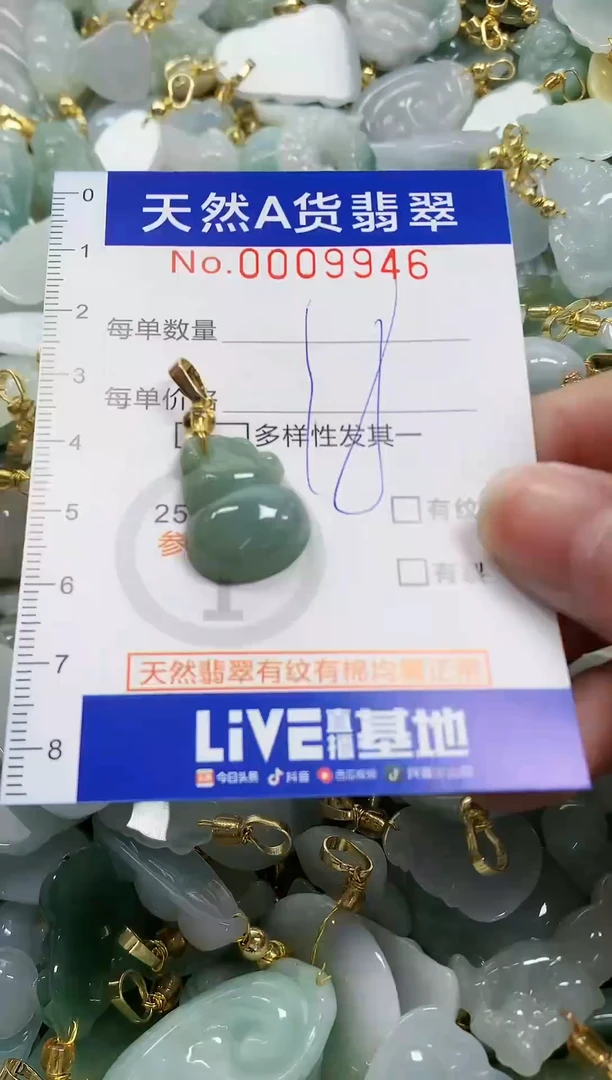 颈饰未镶嵌翡翠纯天然a货翡翠