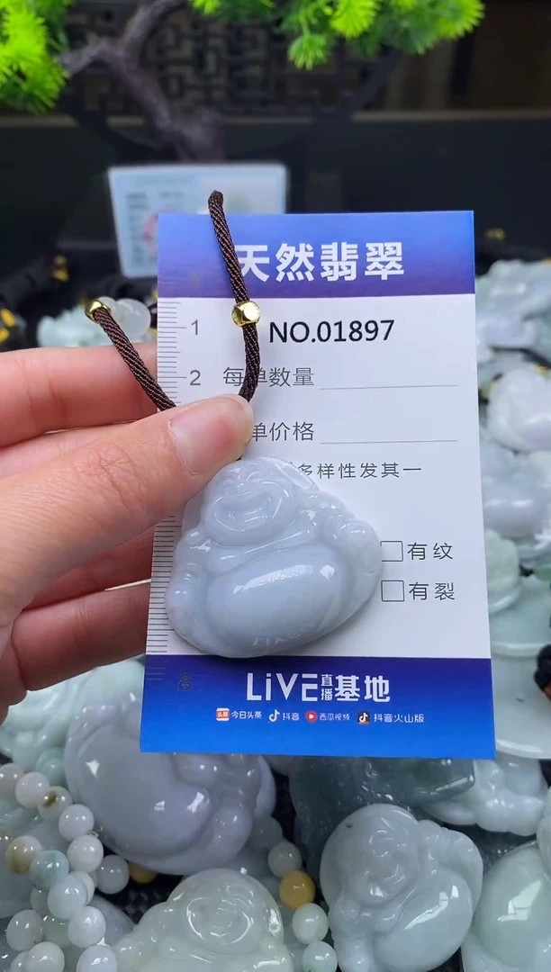 颈饰未镶嵌翡翠天然缅甸翡翠1897