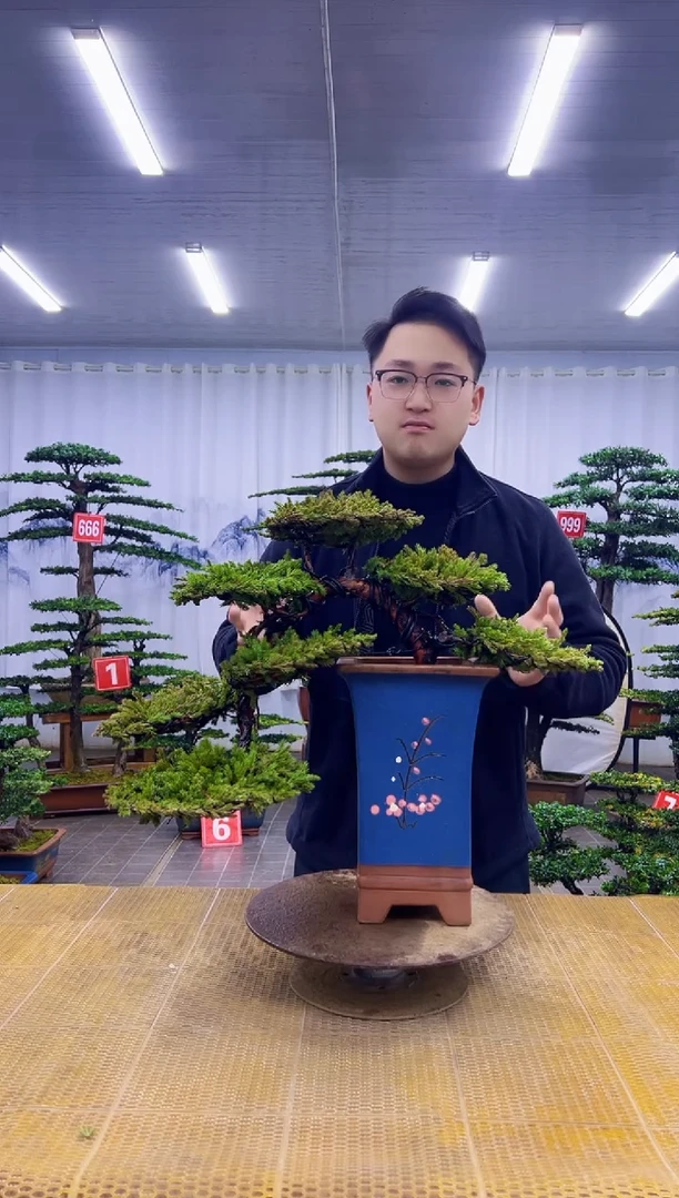 无花朵000000000000000000000000000