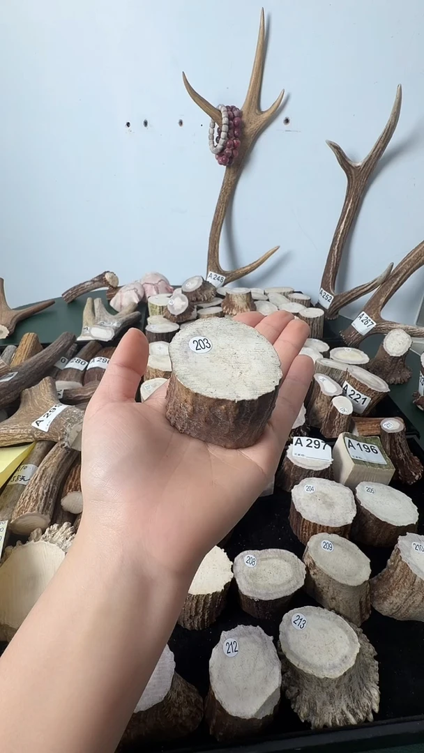 原皮鹿角雕刻料高密度