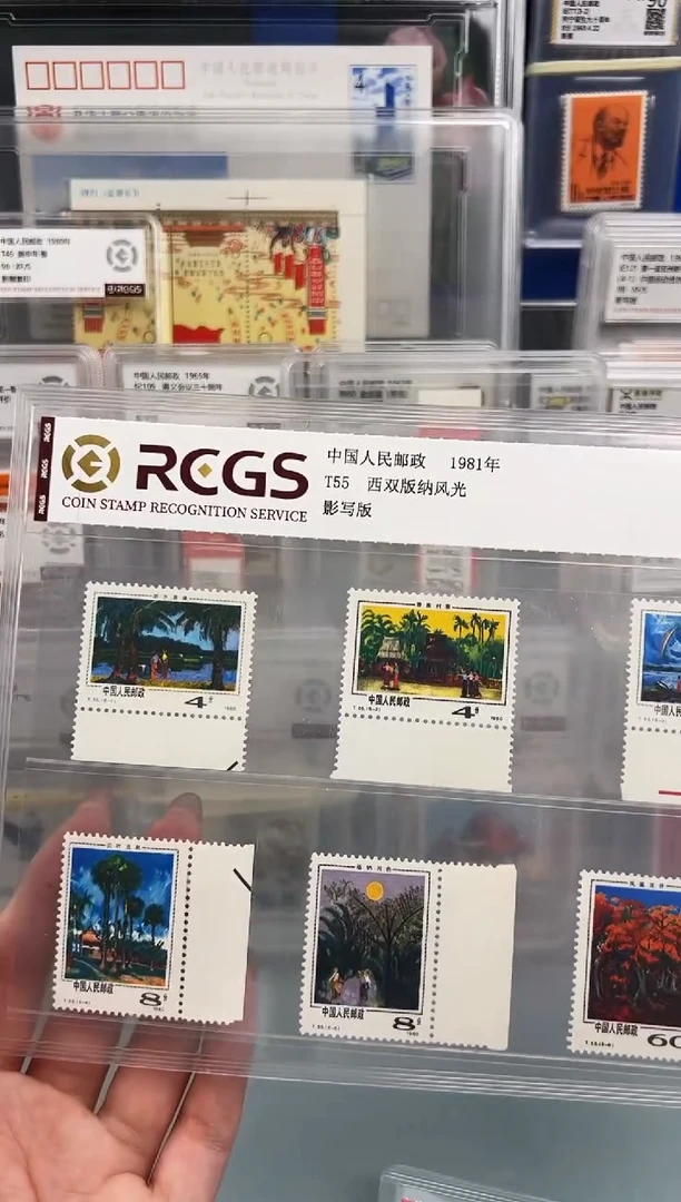 T55西双版纳风光带宽边一套