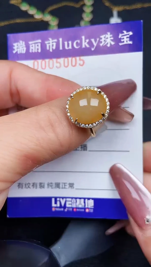 翡翠银S925镶嵌颈饰5005