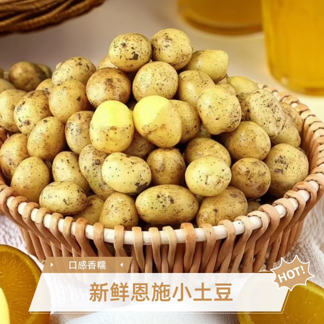 新鲜恩施黄心小土豆洋芋蔬菜香糯农家自种现挖现发马铃署3/5/9斤