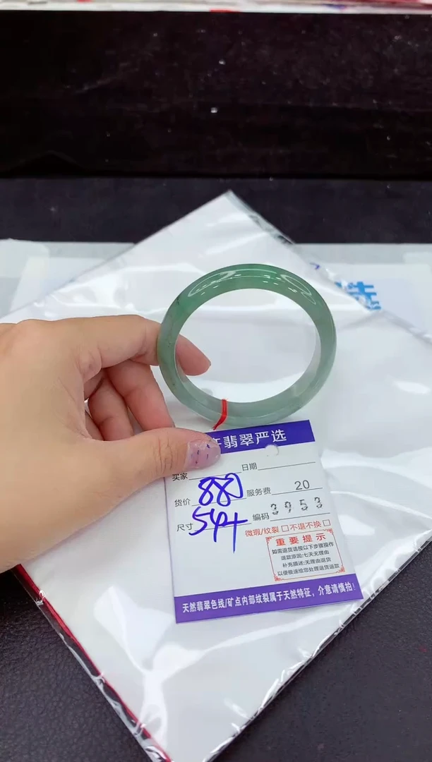 未镶嵌手镯翡翠1