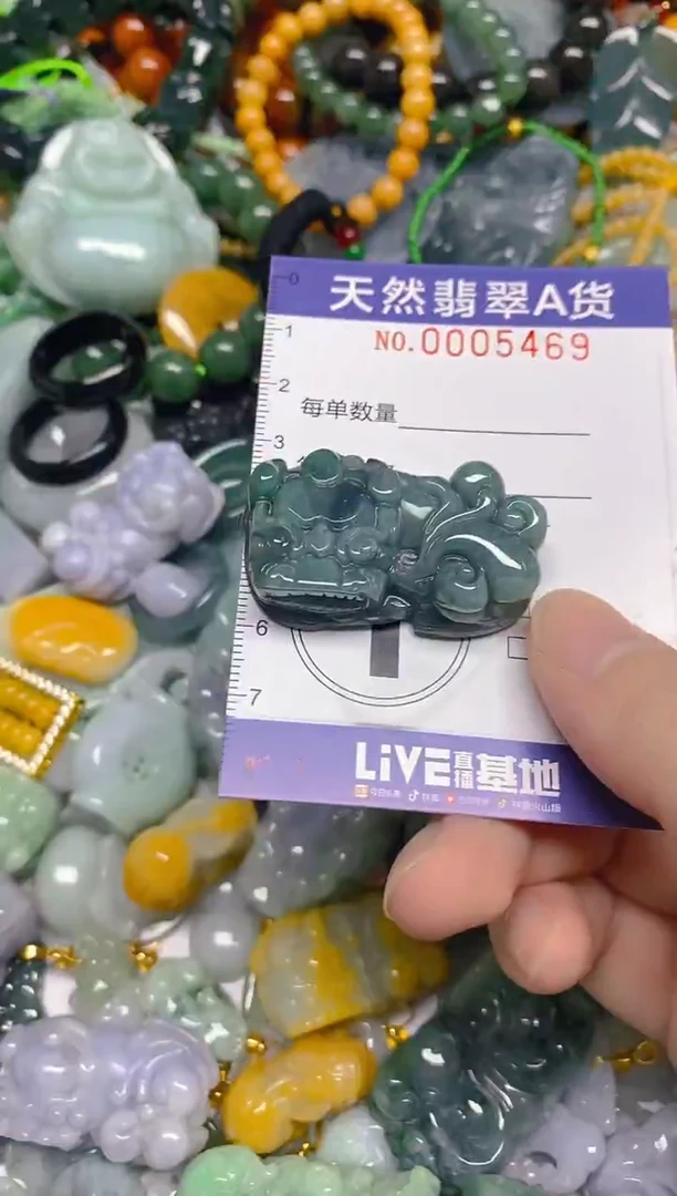 颈饰未镶嵌翡翠0005469