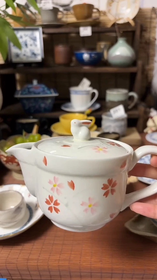 【闪购商品】瓷片喵喵家都是大漂亮