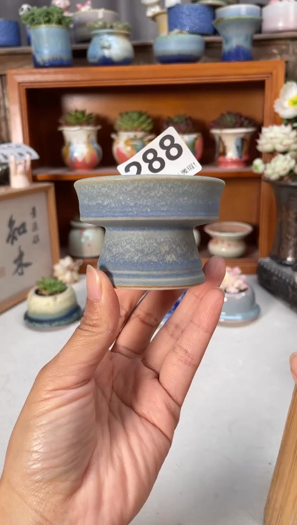 瓷片288小芳直播编号