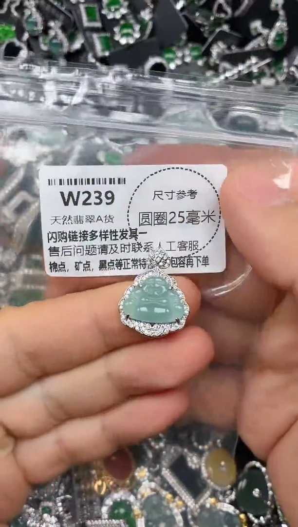 颈饰未镶嵌翡翠W239吊坠