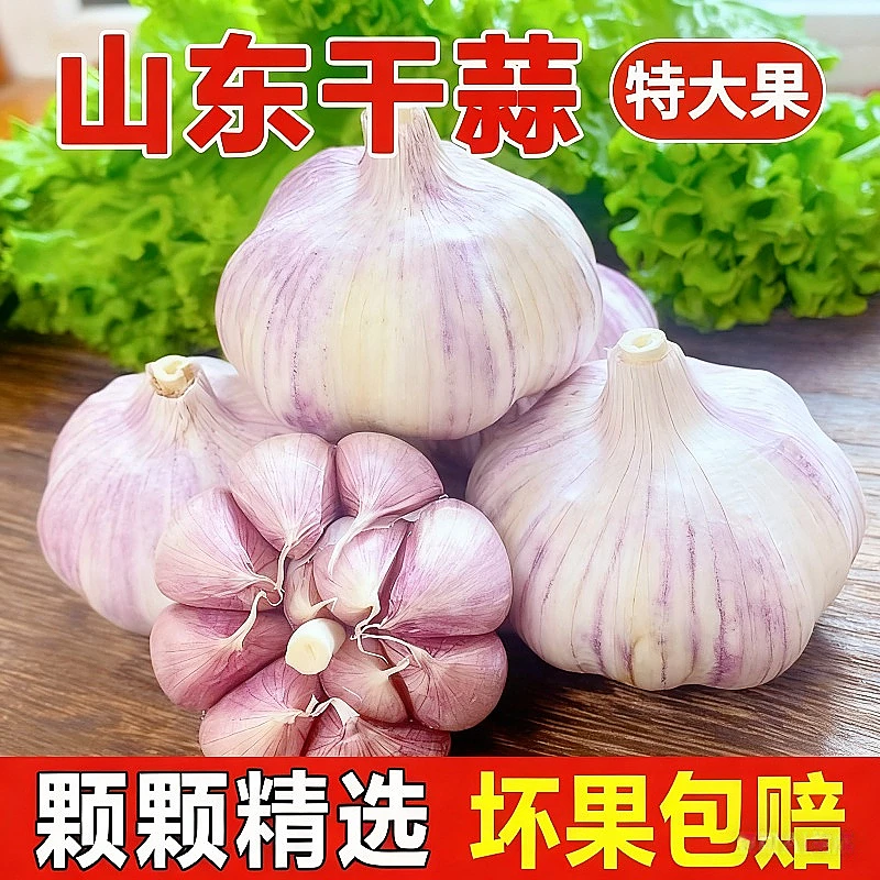 5斤装大蒜头】山东金乡大蒜头干蒜白皮新鲜腊八蒜厨房必备100g-5斤