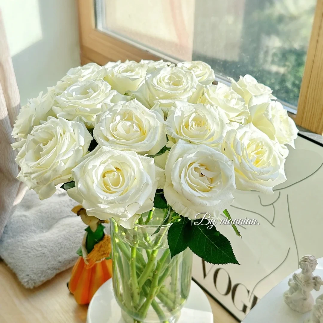 【10支白玫瑰】家居生活鲜花川渝地区次日达昆明基地鲜花批发包邮