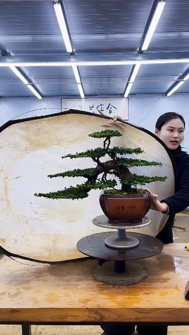 无花朵云*时一物一拍，所见即所得