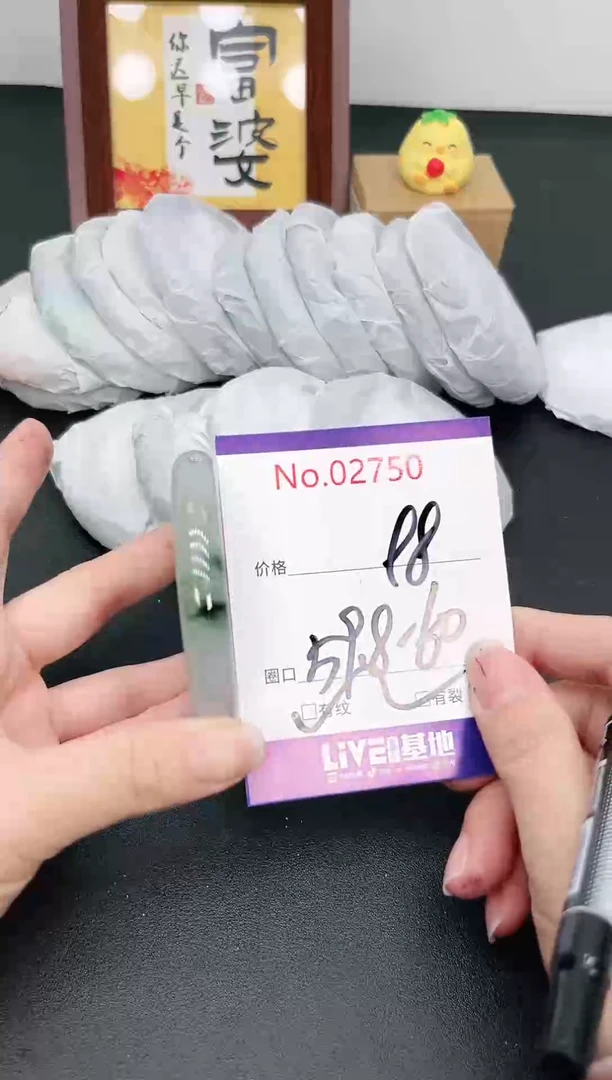 未镶嵌手镯翡翠2750