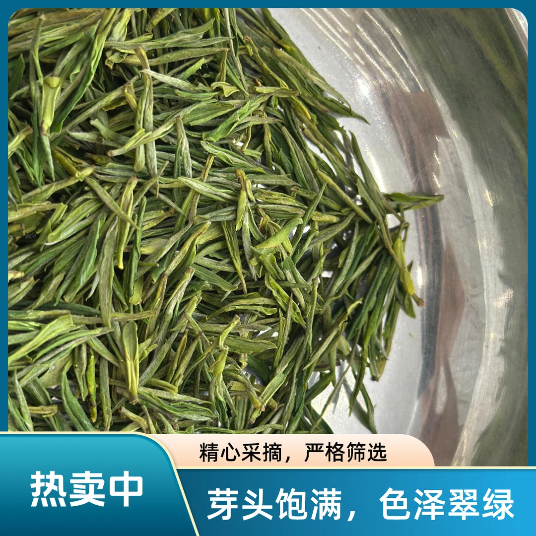 2025正宗安吉白茶特级新茶叶浙江原产精品一芽一叶