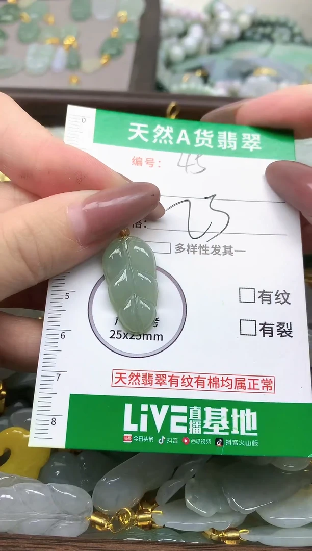 颈饰未镶嵌翡翠纯天然缅甸A货翡翠-45