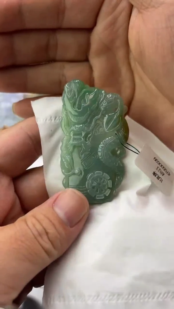 翡翠未镶嵌颈饰强*羽天然翡翠