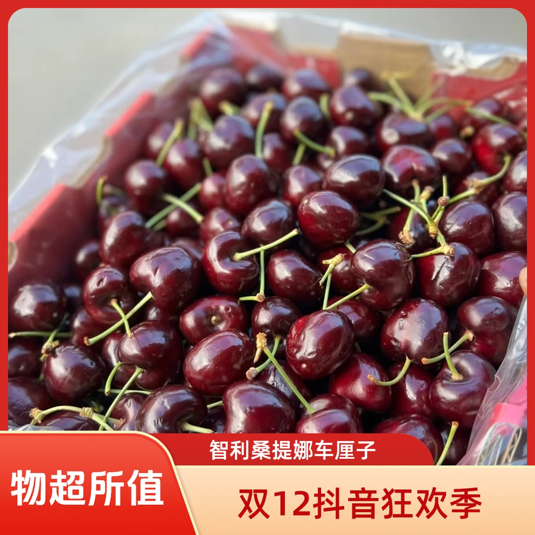 【2JD智利桑提娜车厘子】2JD桑提娜硬脆甜智利车厘子樱桃进口海运原箱5斤(内附果径卡)桑提娜樱桃智利共和国