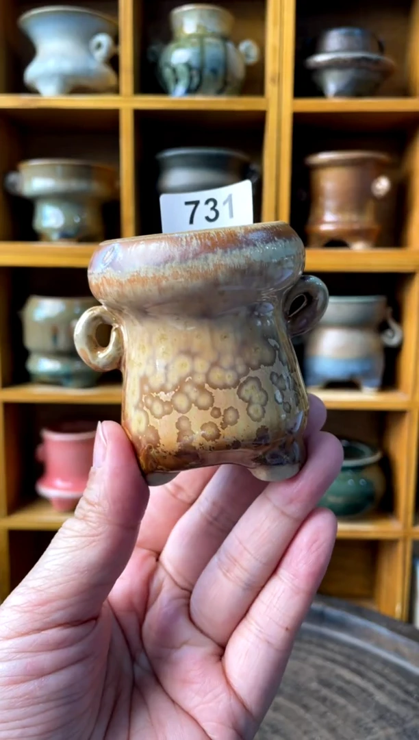 731【多肉花盆多肉盆】