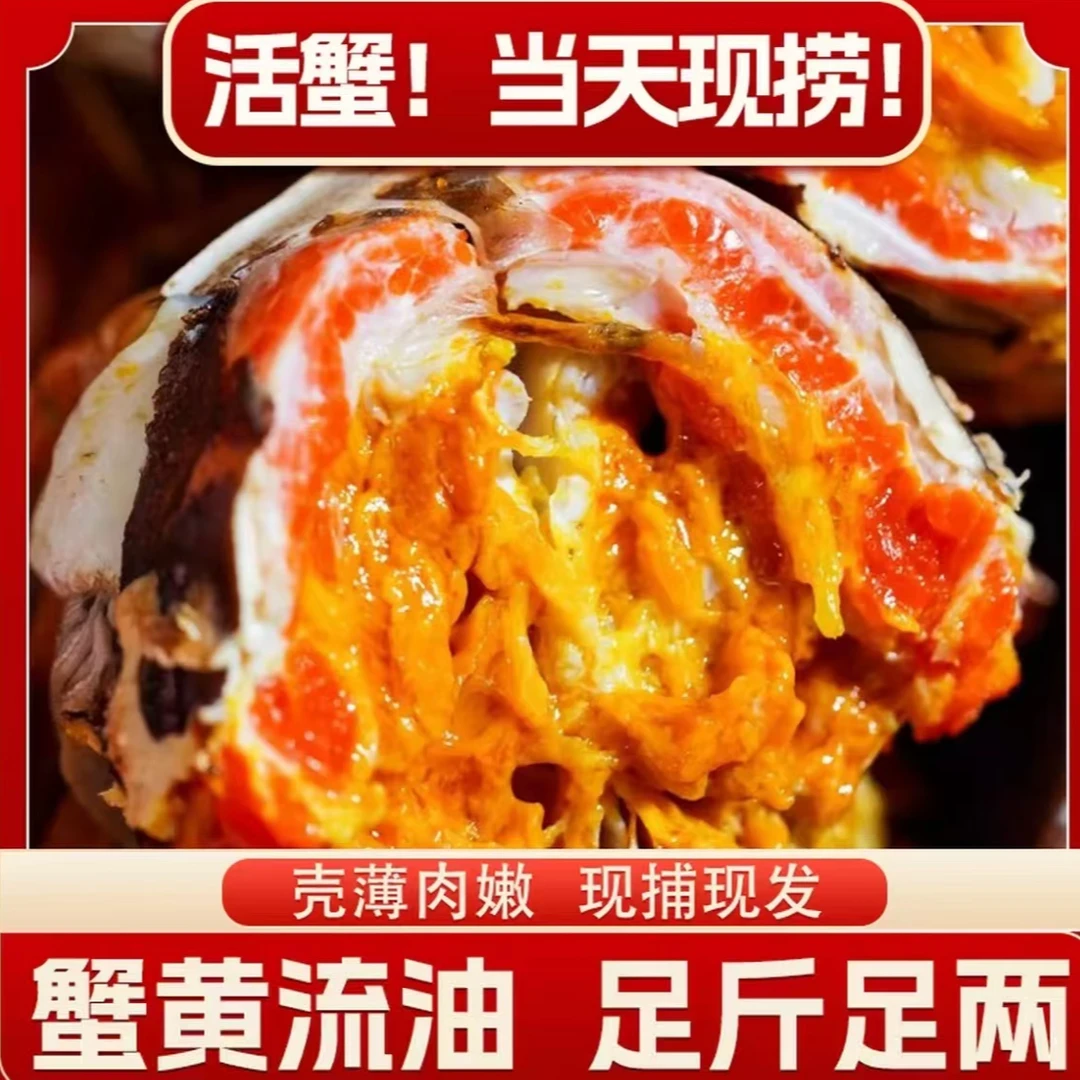 【活蟹】江苏HG大闸蟹洪高5.5-5.2公4.5-4.2两母买6只送2只共8只装