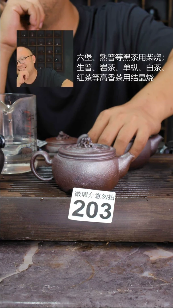 壶四大名陶钦州坭兴陶203