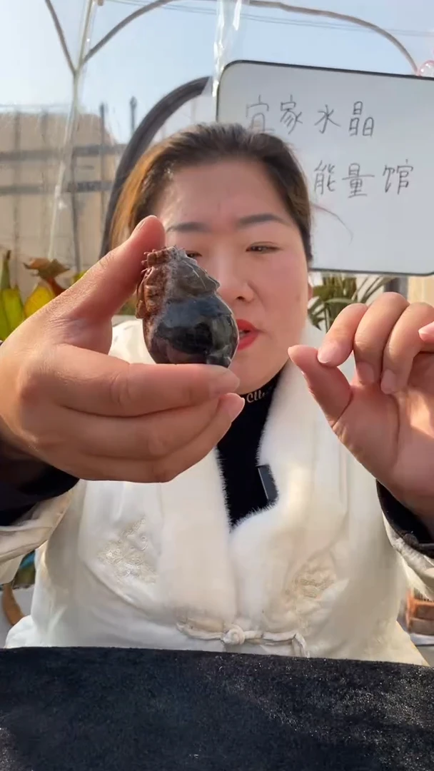 【闪购商品】水晶龙龟未镶嵌极光23龙龟D328