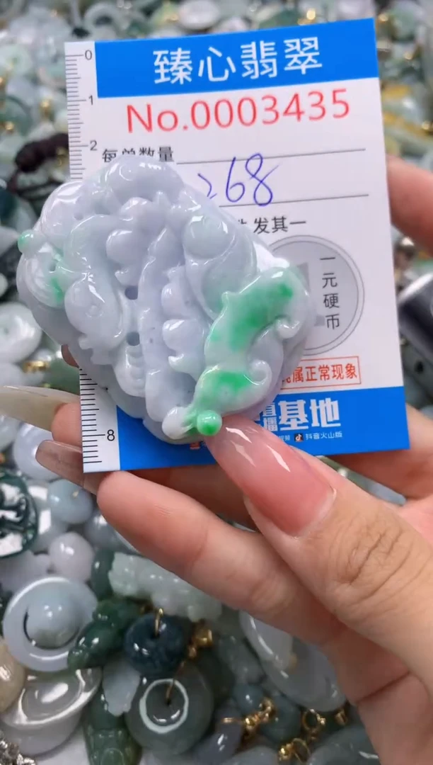 翡翠未镶嵌颈饰3435